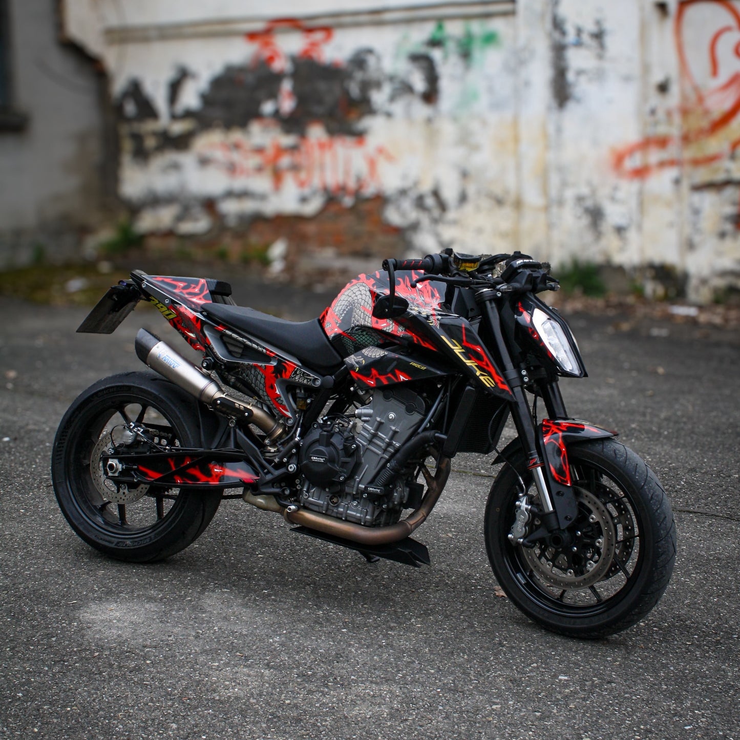 FULL CUSTOM DEKOR